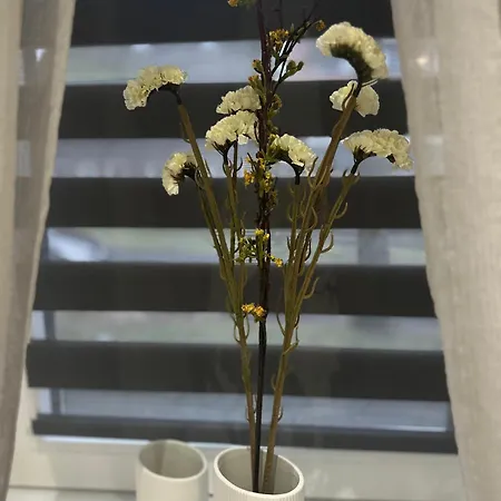 Apartment Sago